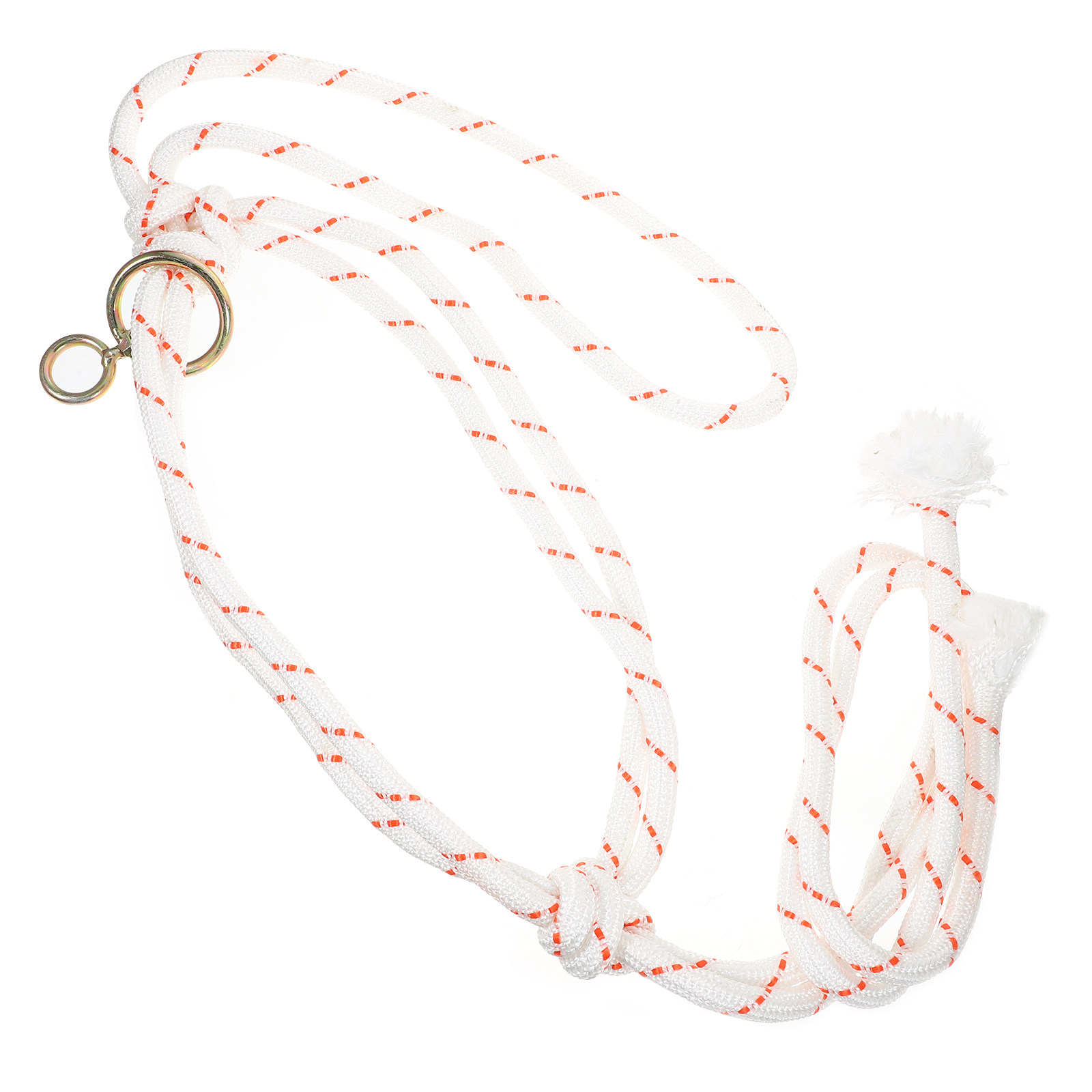 Professional Cattle Halter Hea - огляд і ціна Heavy Equipment Safety Training