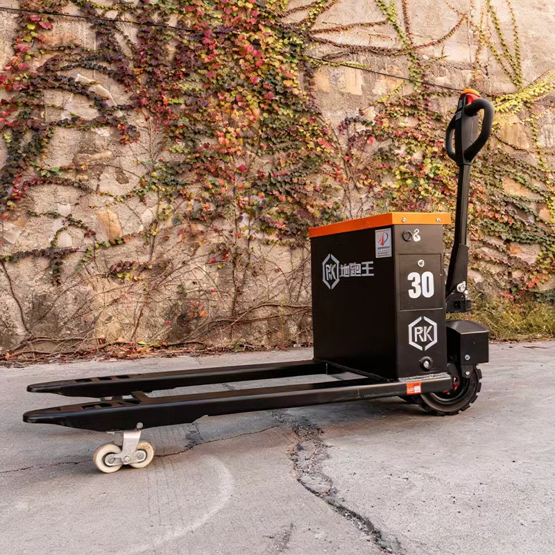 Two-Wheeled Off-Road Electric  - огляд і ціна Electric Forklift